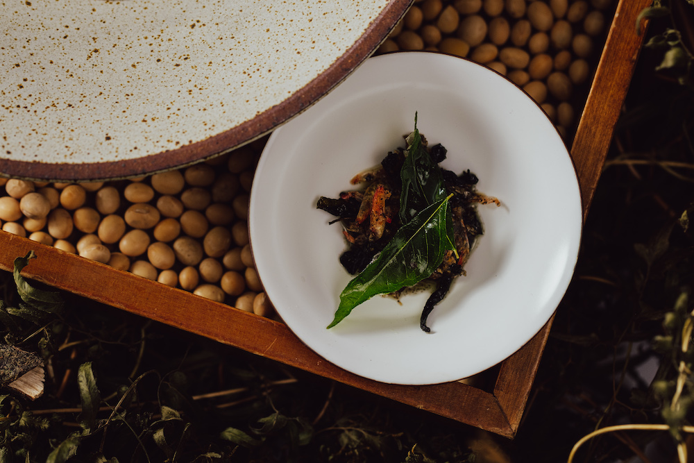 061_20221026_HOSU_SCREENSIZE_COOPERAPHY