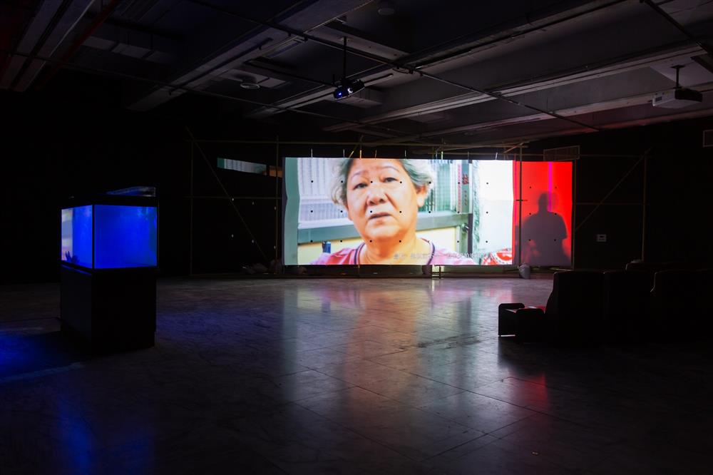 北美館「居家娛樂-楊登棋(登曼波)個展」_07 北美館「居家娛樂-楊登棋(登曼波)個展」_07