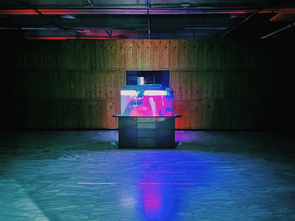 北美館「居家娛樂－楊登棋（登曼波）個展」_02