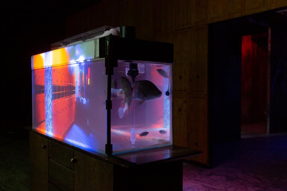 北美館「居家娛樂-楊登棋(登曼波)個展」_04 北美館「居家娛樂-楊登棋(登曼波)個展」_04