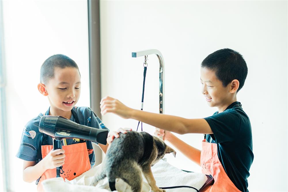 小檔2022吹狗螺音樂生活節毛孩洗澡－我想替他洗香香2