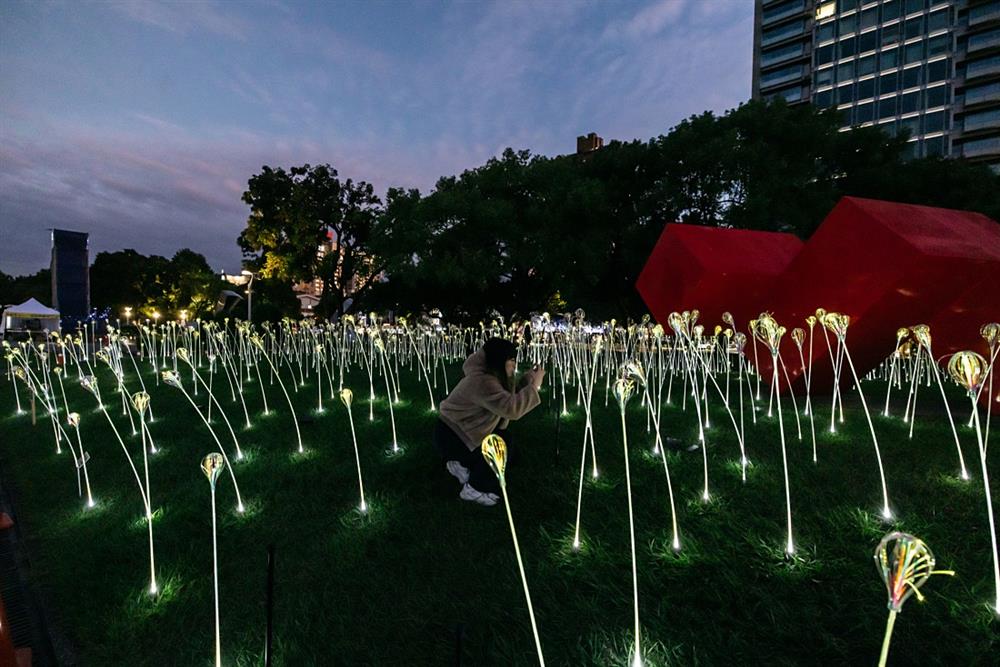 小檔2023臺灣國際光影藝術節08_蔡宜婷 TSAI Yi-Ting （臺灣 Taiwan） 〈植光・花〉 Lighting Flowers