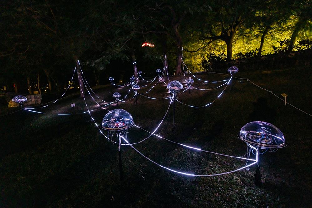 小檔2023臺灣國際光影藝術節02_張欣語 CHANG Hsin-Yu （臺灣 Taiwan） 〈樹的噪訊〉 Tree Noise 02