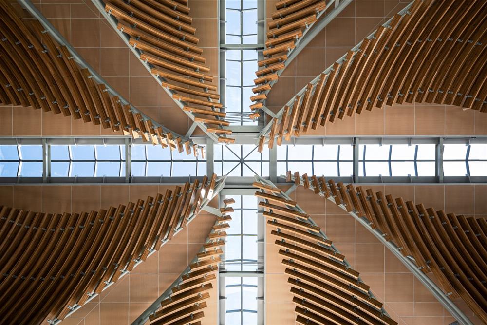 【攝影特展作品圖檔22】用新鮮的眼睛解讀世界 李易暹《Read the images. 閱讀影像》