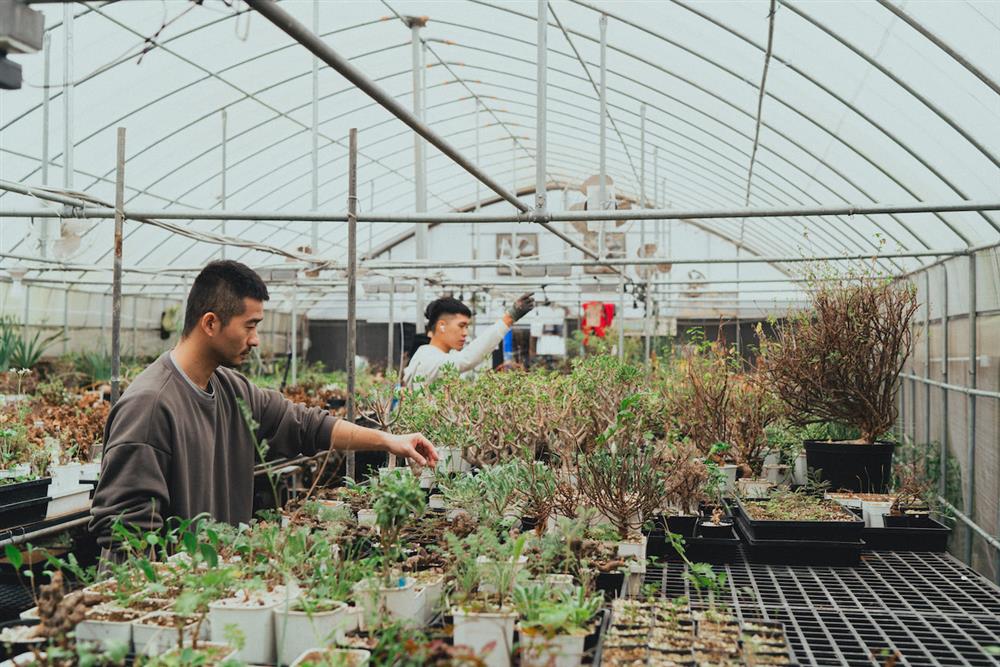 00_Taipei Caudex Club_DSC1764