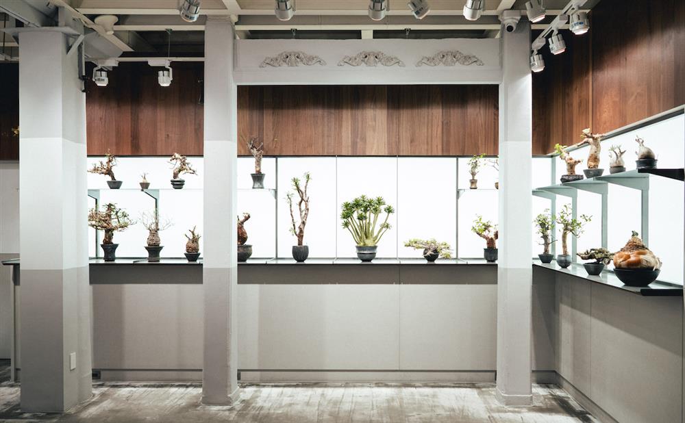 12_配盆展示光牆02_0343 CONSERVATORY TAINAN_DSC0111-2