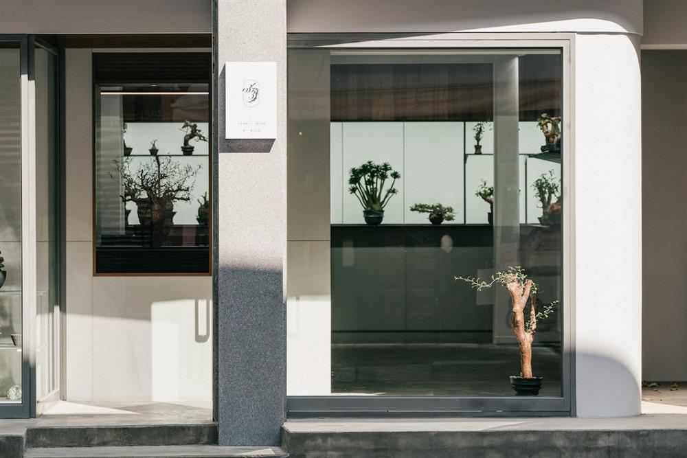 02_外立面右側櫥窗_0343 CONSERVATORY TAINAN_DSC0069