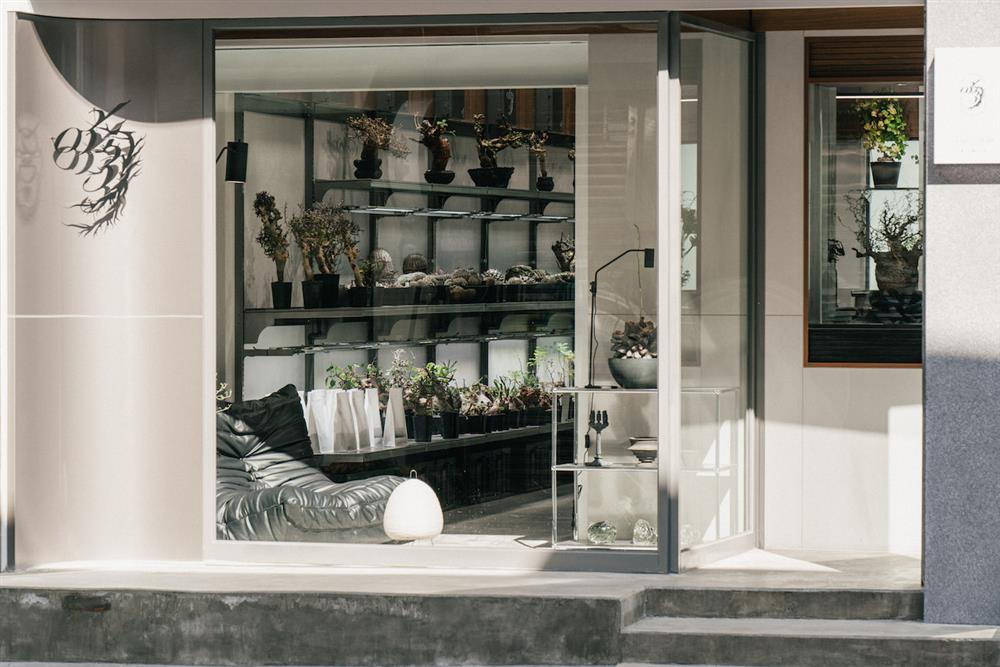 03_外立面左側櫥窗_0343 CONSERVATORY TAINAN_DSC0071