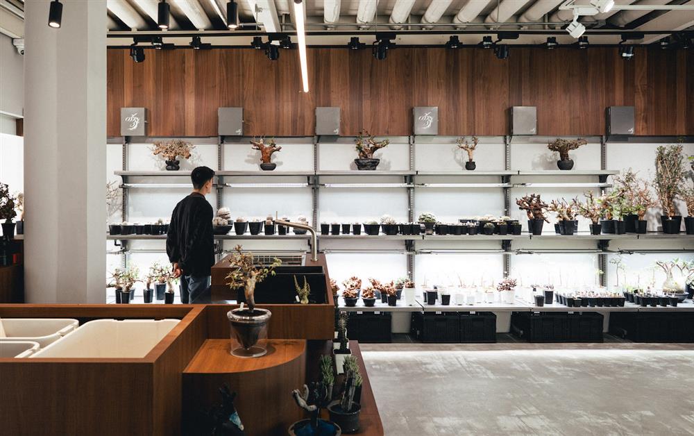 21_重柱植物架區_0343 CONSERVATORY TAINAN_DSC0198