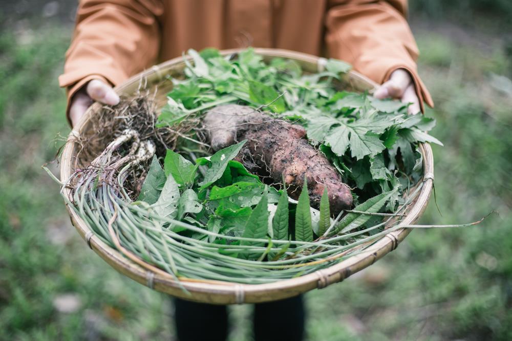 8. 無須進行大規模公路建設，豐富的自然資源便是渾然天成的渡假村jpg