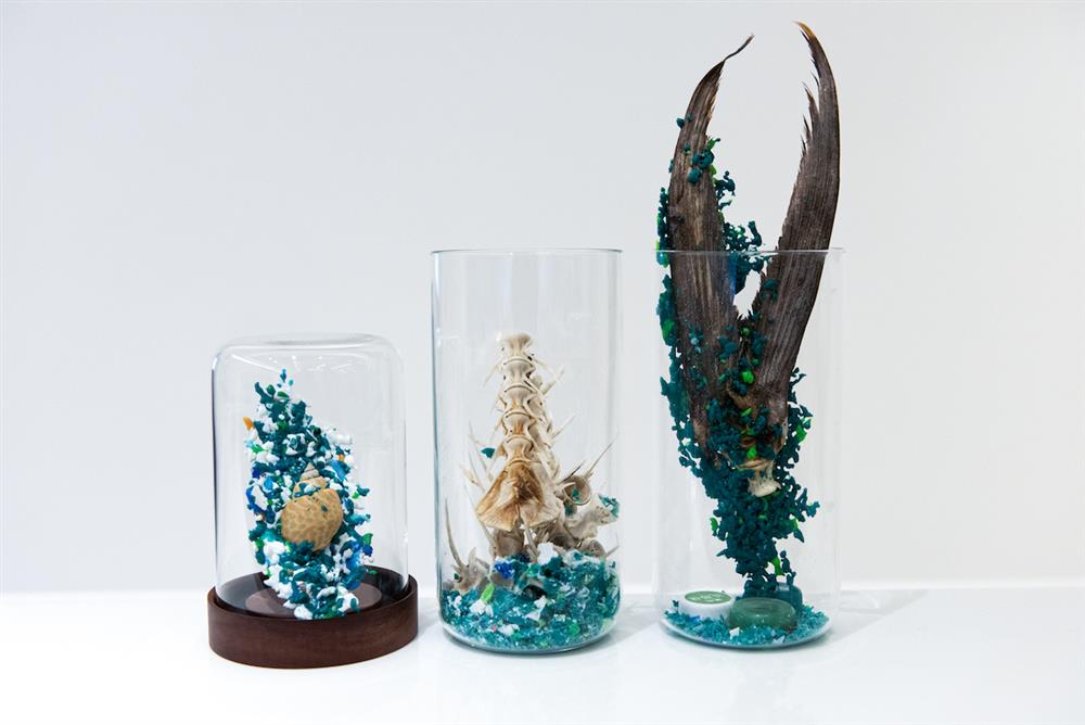 The Seedin Lab × 新銳藝術家洪郁雯 _「化石」系列作品 _圖1 The Seedin Lab × 新銳藝術家洪郁雯 _「化石」系列作品 _圖1