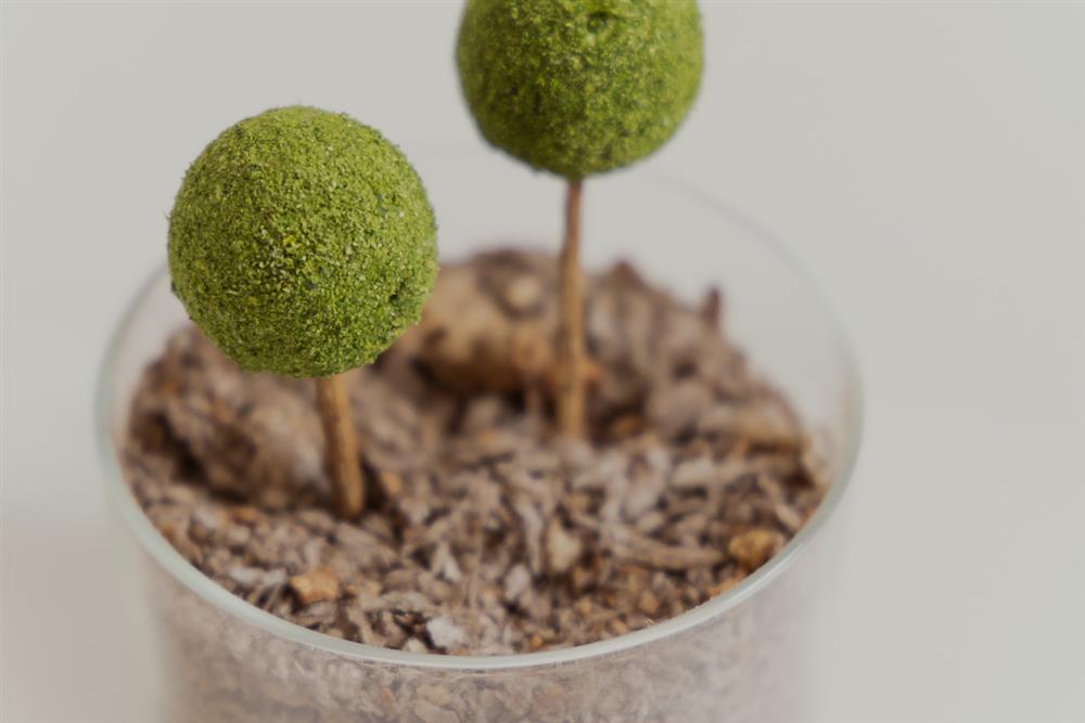 1-2_The Seedin Lab 海洋系列創意料理 _禁止過度捕撈 -1 1-2_The Seedin Lab 海洋系列創意料理 _禁止過度捕撈 -1