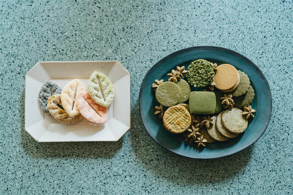 綠綠發芽希望工坊_桃園龜山_17