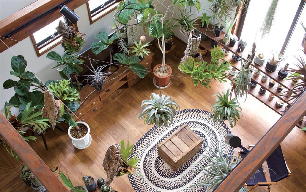 小檔植物優先圖9 小檔植物優先圖9