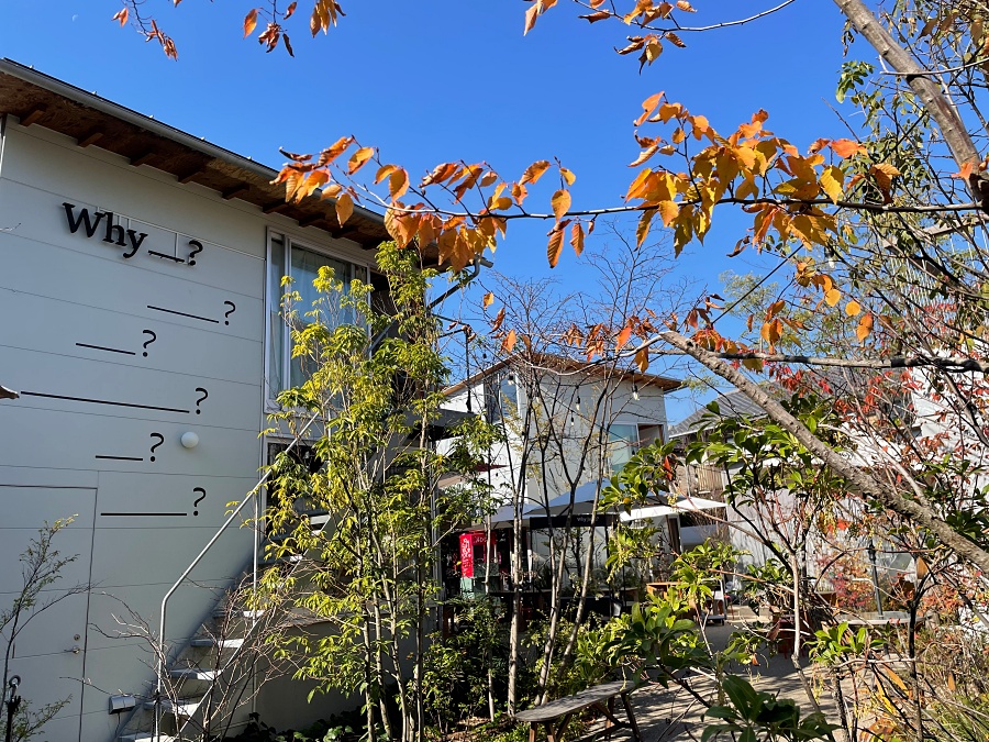 小檔下北澤新開景點IMG_3381