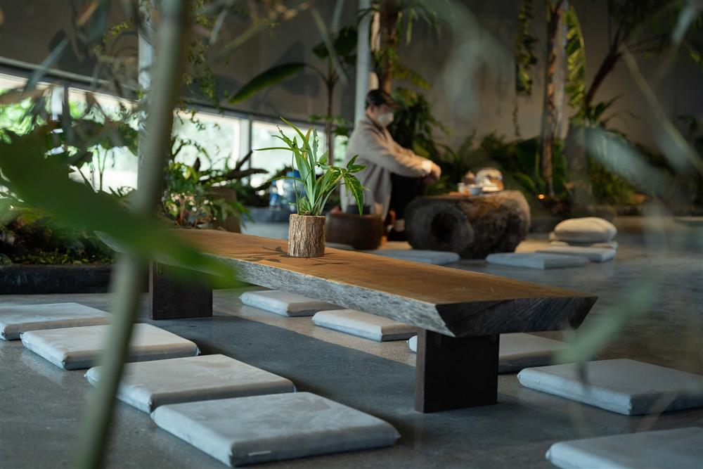 321645519_557143779653834_499226923930289745_n