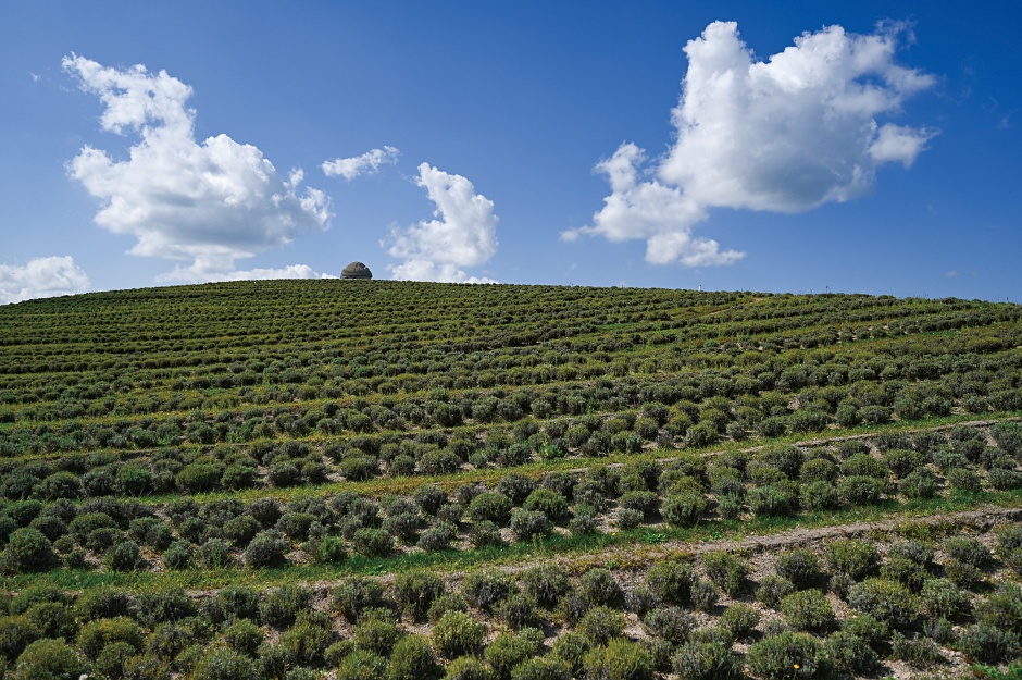 小檔小林賢伍新書25