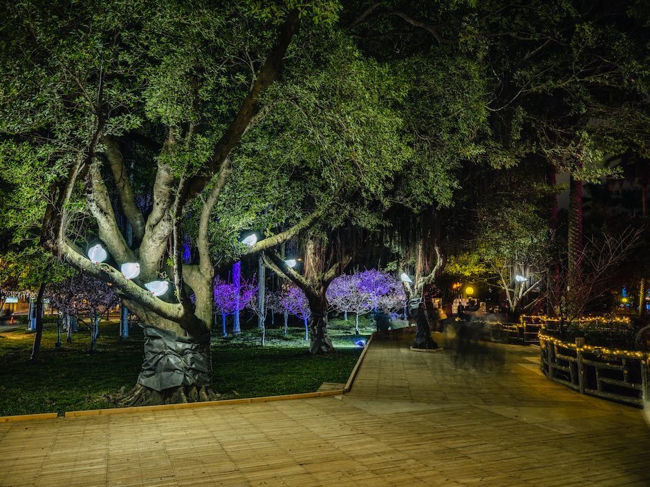 00光環境_FIXE5642-HDR