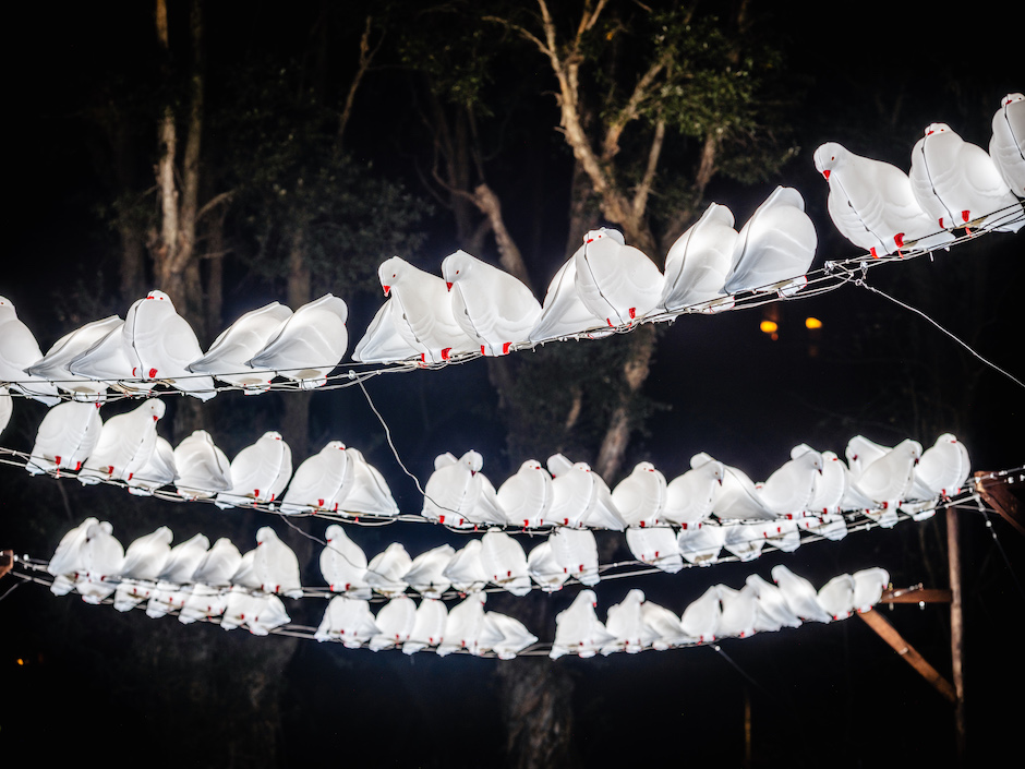08浪的終點是白花_FIXE5744