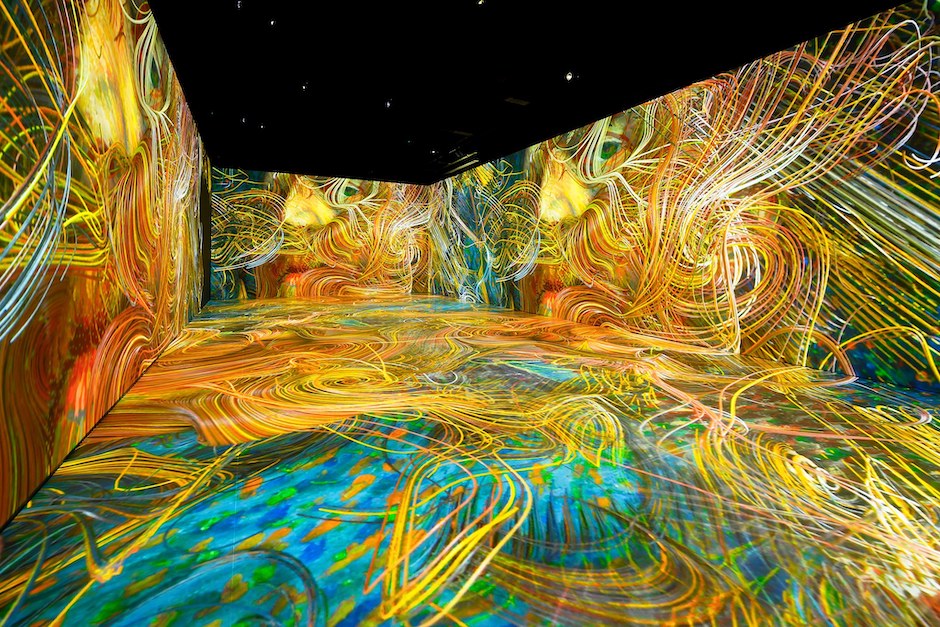 288602161_136603062369358_6230911985758579560_n