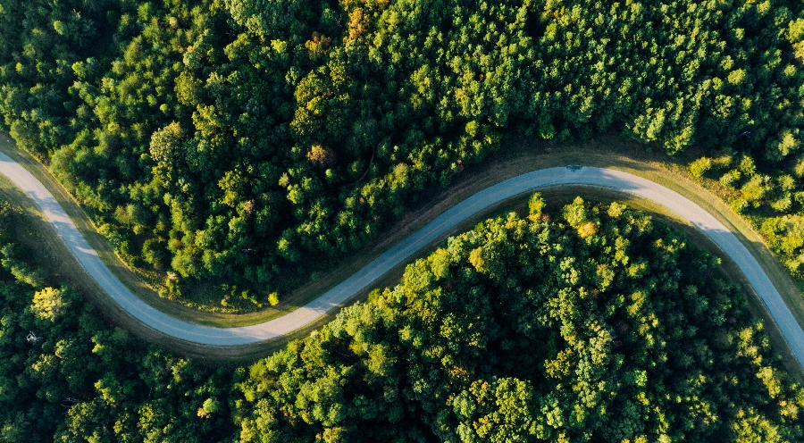 batch_pexels-kelly-2876511