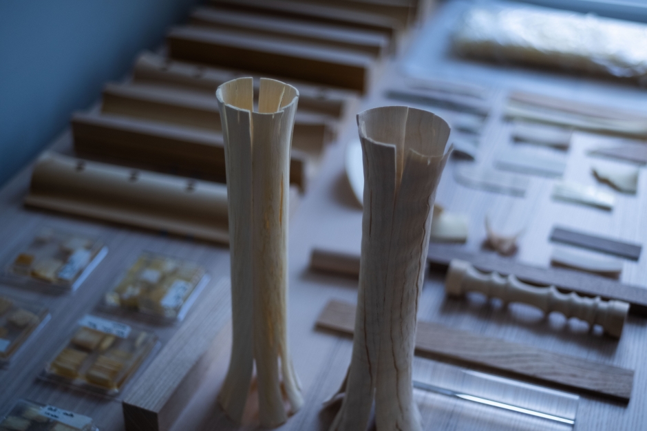 Forenext Design Studio_Wooden Glass_03 Forenext Design Studio_Wooden Glass_03