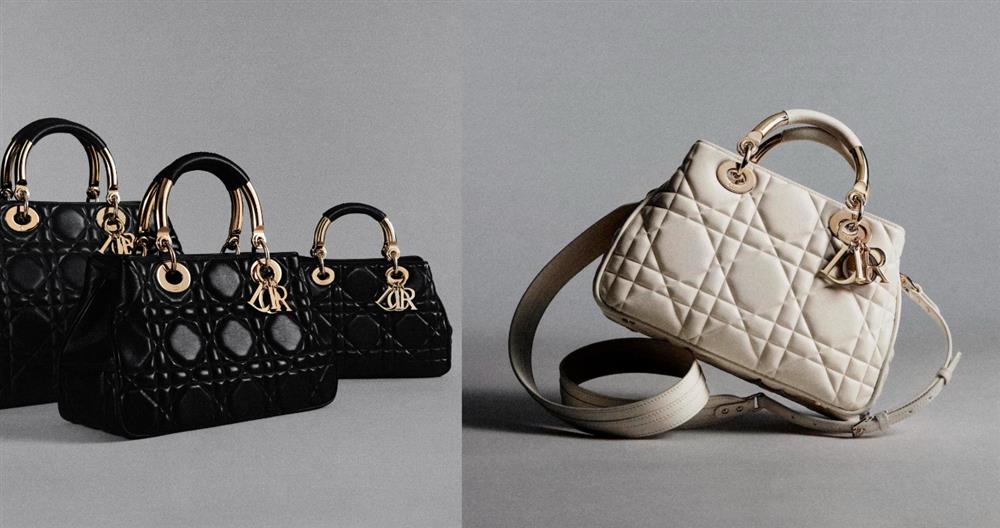 Collage Maker-13-Feb-2023-09.51-PM