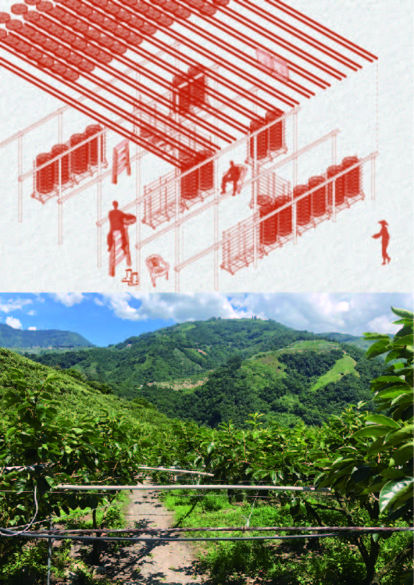 策展關鍵字：中介； 圖片由國立臺灣美術館提供