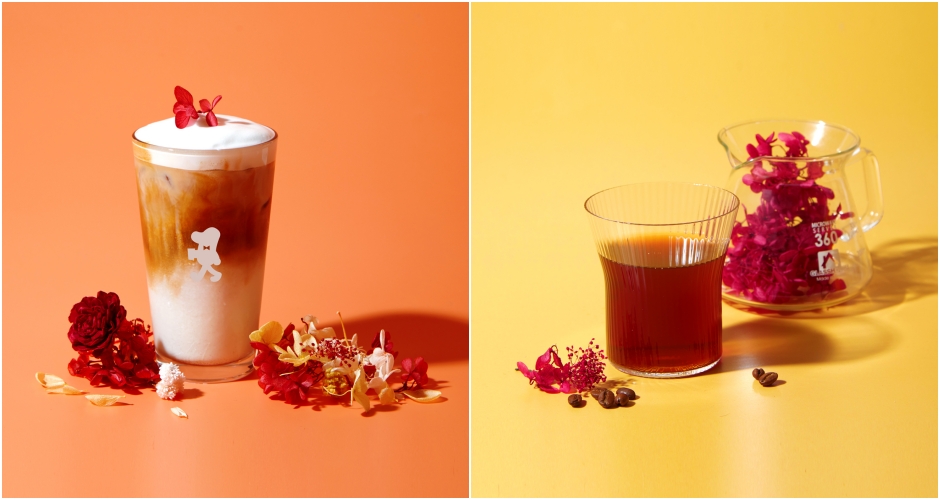 cama café_plantica_春季_05