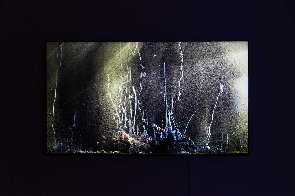 伊山・貝哈達，《預兆2019年5月9日10時15分》