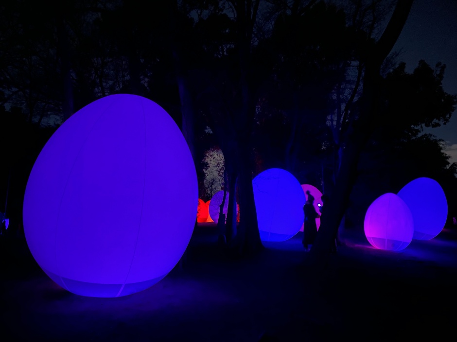 小檔teamLab Botanical Garden Osaka248E8985-5D67-4265-8522-15F956F20303 小檔teamLab Botanical Garden Osaka248E8985-5D67-4265-8522-15F956F20303