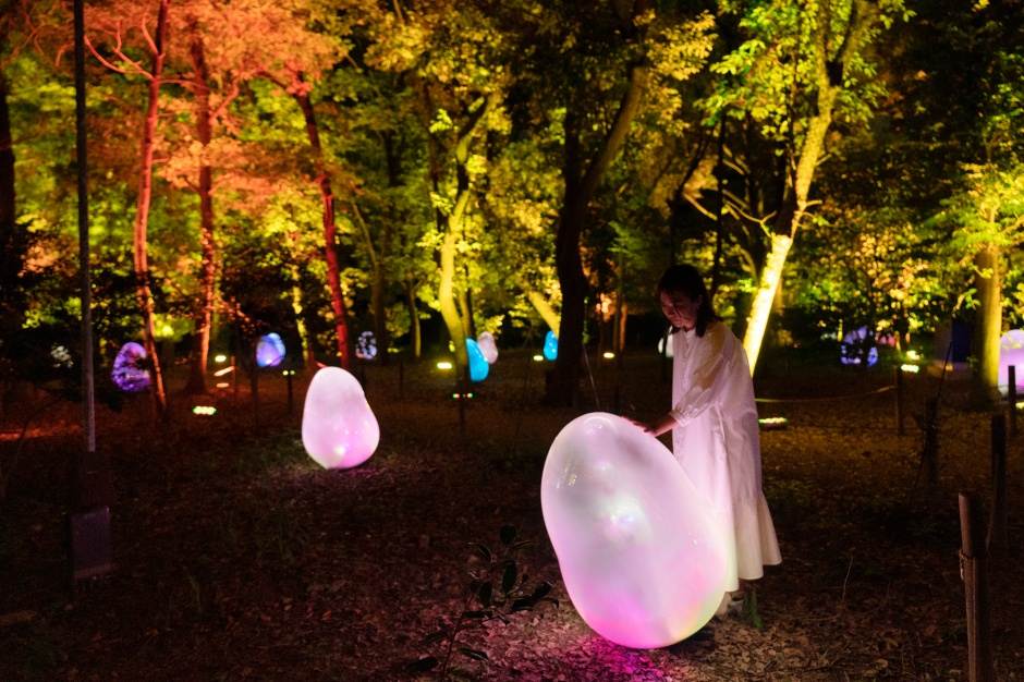 小檔teamLab Botanical Garden Osaka03_Resonating Microcosms in the Common Camellia Garden - Liquified Light Color, Sunrise and Sunset 小檔teamLab Botanical Garden Osaka03_Resonating Microcosms in the Common Camellia Garden - Liquified Light Color, Sunrise and Sunset