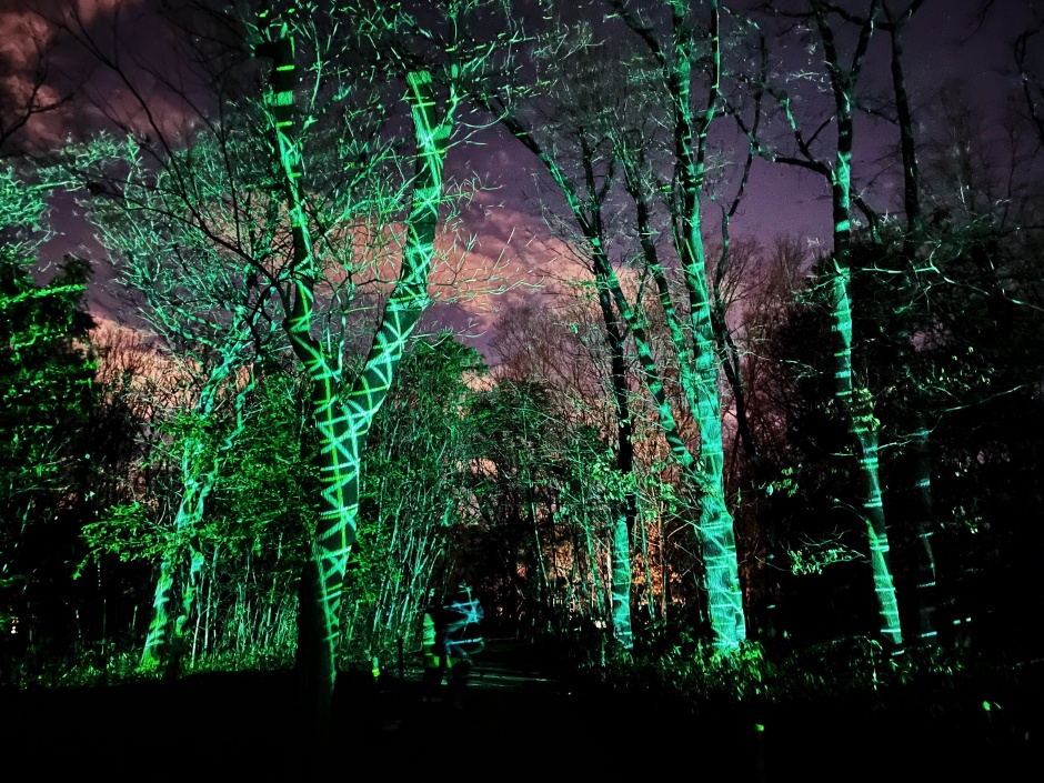 小檔teamLab Botanical Garden Osaka592C4DCA-97D1-4AAE-A2D7-18142C714D78 小檔teamLab Botanical Garden Osaka592C4DCA-97D1-4AAE-A2D7-18142C714D78