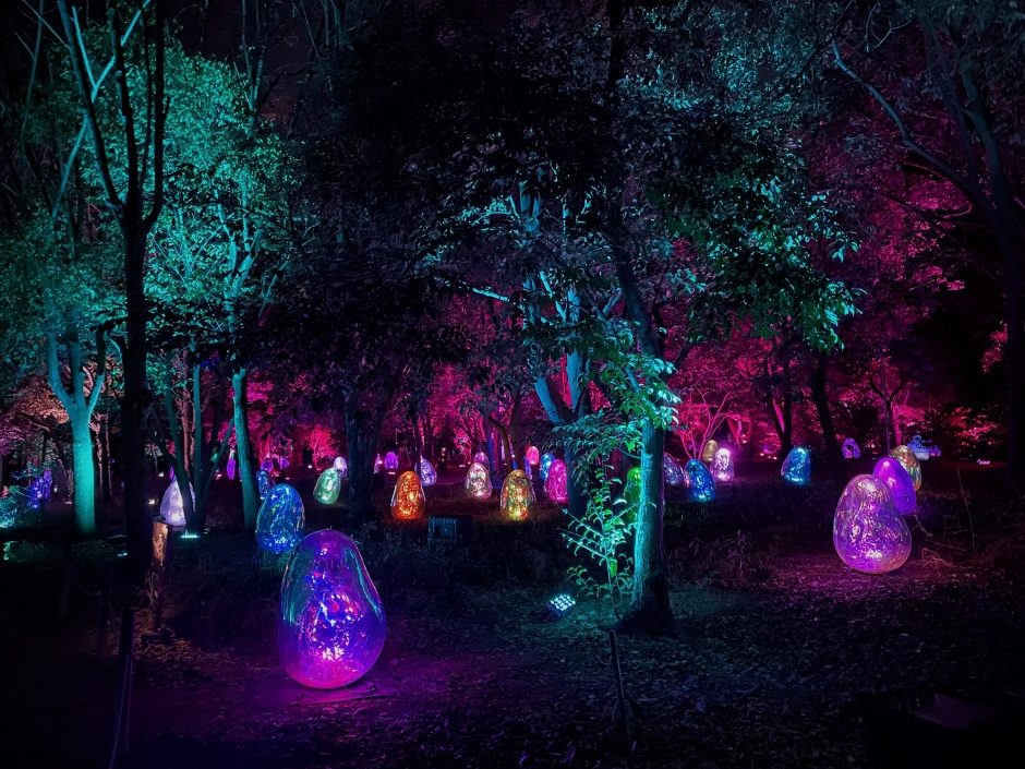 小檔teamLab Botanical Garden OsakaDA045882-D824-44D9-B7A3-7BC808F90C9B 小檔teamLab Botanical Garden OsakaDA045882-D824-44D9-B7A3-7BC808F90C9B