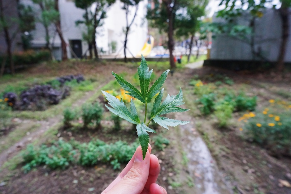 9C37A9B1-BF18-4230-A88F-0899AC31C1CE