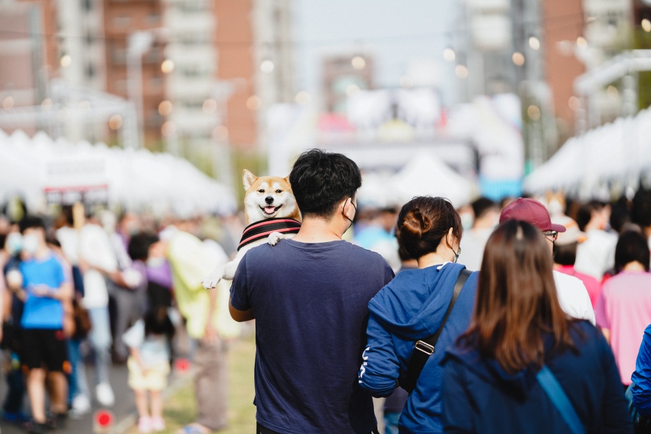 小檔2023 愛映岡山．太空漫遊DSC06653年度人氣活動「愛映岡山」即將於03月19日在岡山河堤公園登場