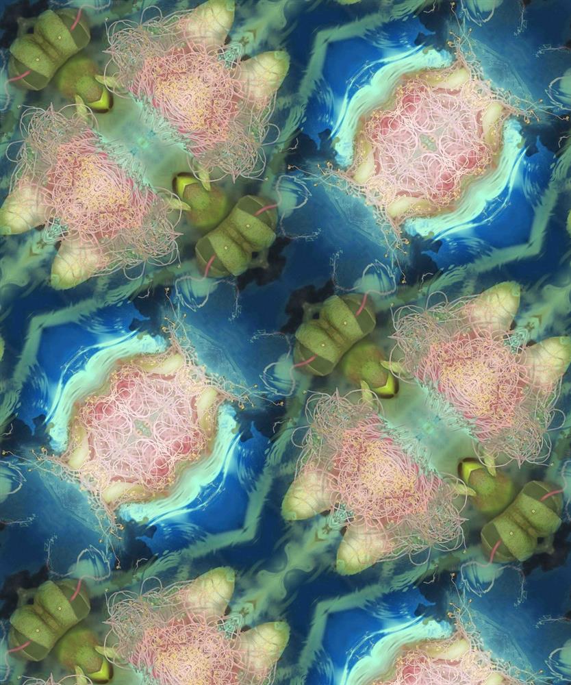 章光和，〈穗花〉，2022，噴墨輸出，72×60公分，藝術家授權