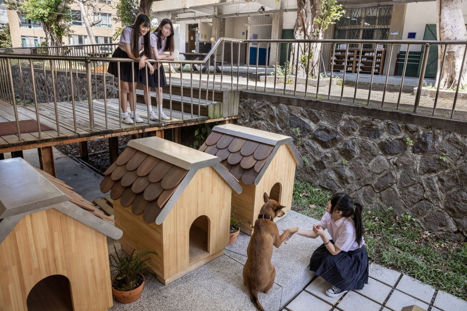 台北復興高中校園改造小動物學院_14