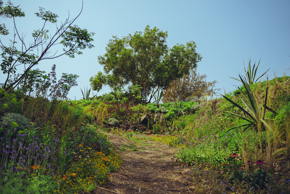 藝術在一座小島_吳瑪悧＆吳宗憲_覓境Seeking Wonderland-02