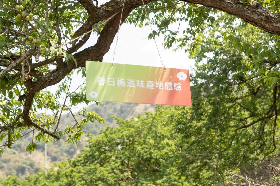 農委會ACO X無毒農X就曰設計「限量臺灣梅禮盒」_04