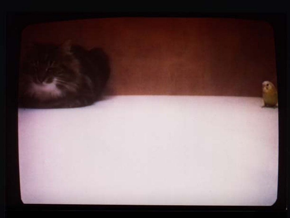 北美館_大衛．克拉耶伯：片刻冥想_08