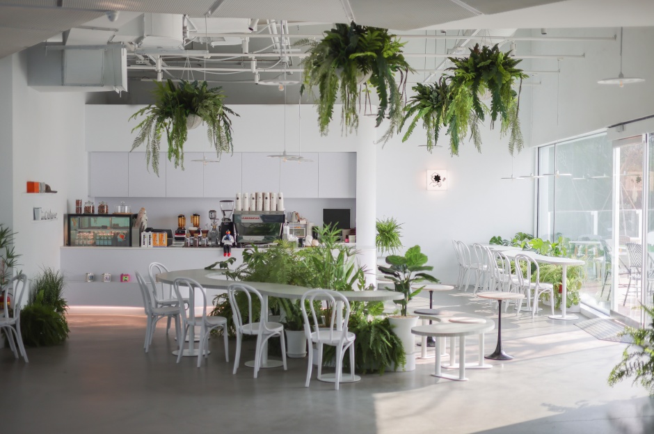 小檔AkauCoffee 猻物咖啡 ⾺卡道店

04