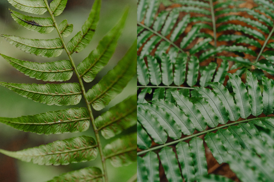 La Vie網站內文-2