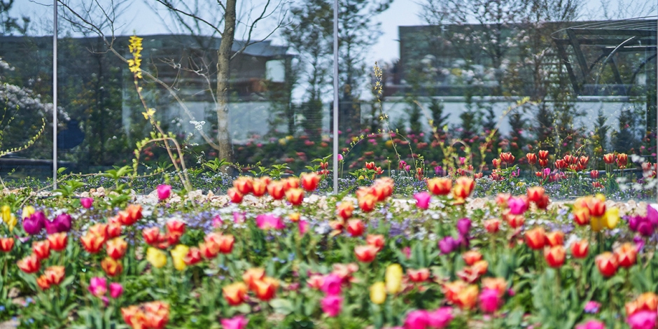 坂茂_下瀨美術館_SIMOSE ART GARDEN VILLA_04