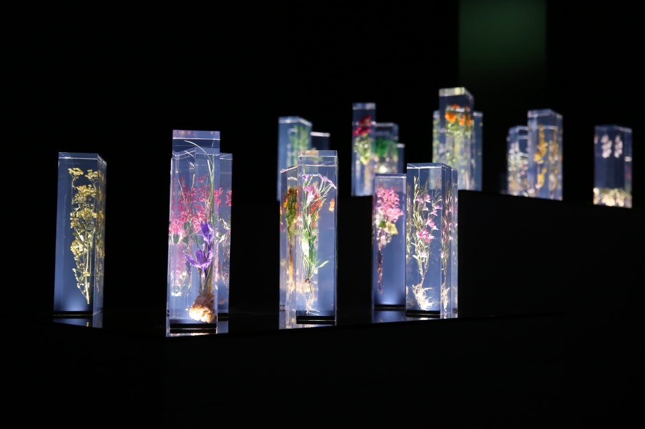 大直NOKE忠泰樂生活試營運_13