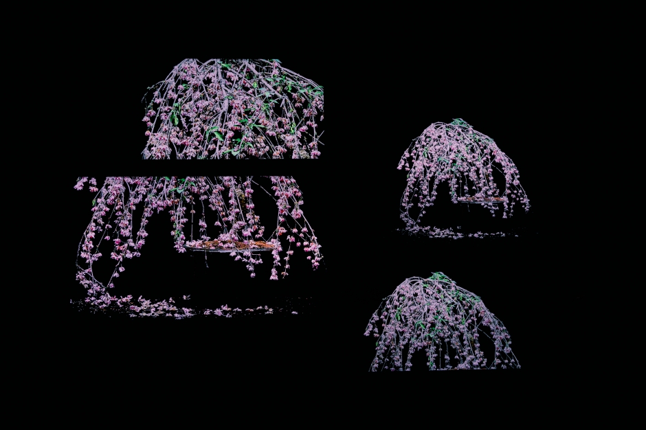 東信展：繁花．時敘_大直NOKE忠泰樂生活_14