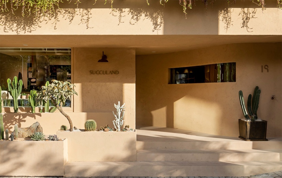 小檔大安大安四維街區散策2.有肉SUCCULAND 小檔大安大安四維街區散策2.有肉SUCCULAND