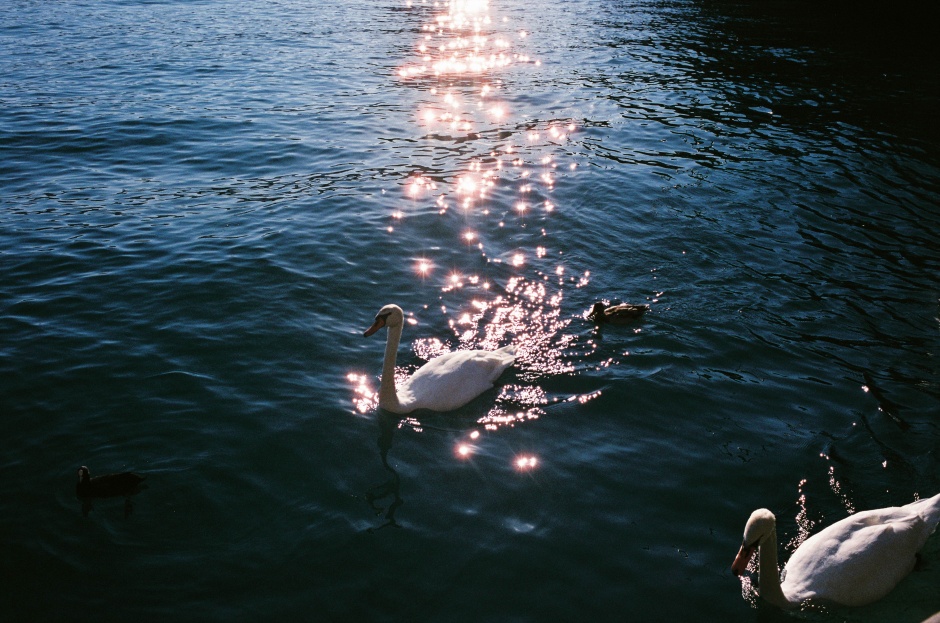 小檔石田真澄專訪003 小檔石田真澄專訪003