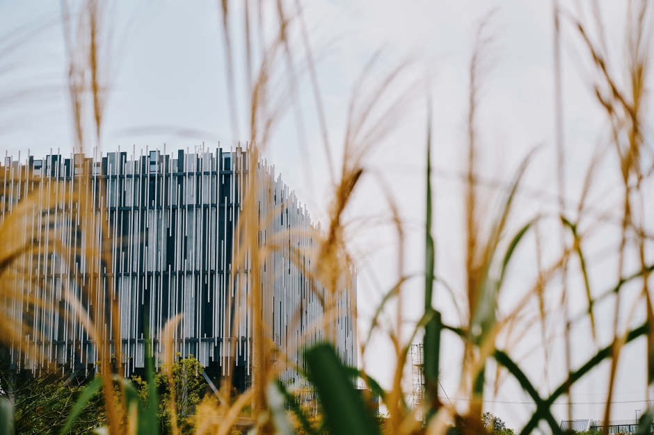 新北市美術館_新美誌_平凡製作_平面室_03