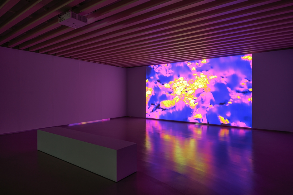 s_OttO 奧托, 2018  HD film 21_26__1_藝術家和 TAO ART 提供jpg